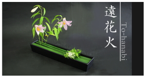 Plants: image 3 0f 6 thumb