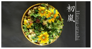 Plants: image 4 0f 6 thumb