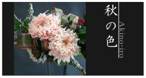 Plants: image 6 0f 6 thumb