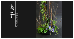 Plants: image 7 0f 6 thumb