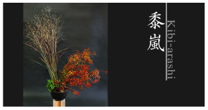 Plants: image 8 0f 6 thumb