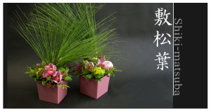 Plants: image 10 0f 6 thumb