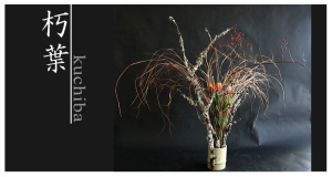 Plants: image 11 0f 6 thumb