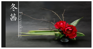 Plants: image 12 0f 6 thumb