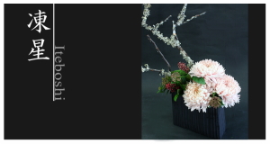 Plants: image 14 0f 6 thumb