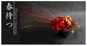 Plants: image 14 0f 6 thumb