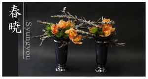 Plants: image 14 0f 6 thumb