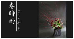 Plants: image 14 0f 6 thumb