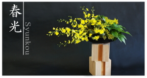 Plants: image 14 0f 6 thumb