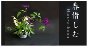 Plants: image 14 0f 6 thumb