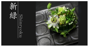 Plants: image 14 0f 6 thumb