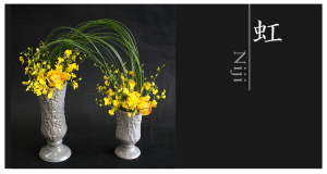 Plants: image 14 0f 6 thumb