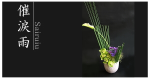 Plants: image 14 0f 6 thumb